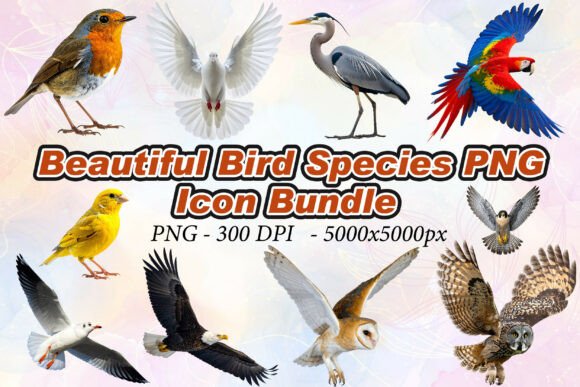 Beautiful Bird Species PNG: The Ultimate Guide to High-Resolution 3D Icons