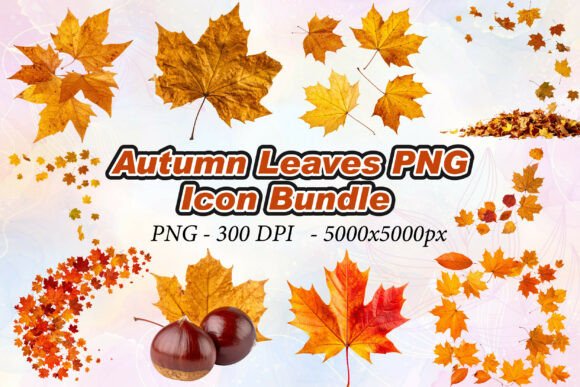 Transform Your Designs with High-Resolution Autumn Leaves PNG Assets