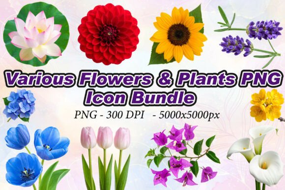 Various Flowers Plants PNG: The Ultimate Collection for Modern Design